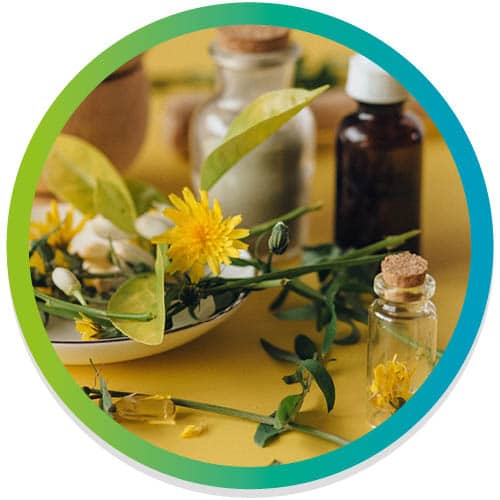 Homeopathic ingredients and tinctures
